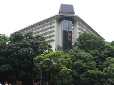 Yomoto Fuji Hotel Hokone
